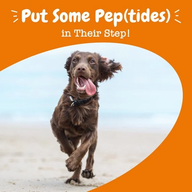 Zesty Paws Multi-Collagen Bites Chicken Flavored Soft Chews Multivitamin for Dogs 8 Zesty Paws Multi-Collagen Bites Chicken Flavored Soft Chews Multivitamin for Dogs - Image 6