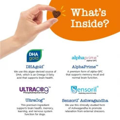 Zesty Paws Advanced Cognition Bites Chicken Flavored Soft Chews Brain & Nervous System Supplement for Senior Dogs -Oxbow || Zesty Paws Sales 249415 PT3. SY630 V1659821035