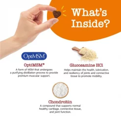 Zesty Paws Ancient Elements Mobility Bites Bison Flavored Soft Chews Hip & Joint Supplement for Dogs, 90 count -Oxbow || Zesty Paws Sales 249427 PT3. SY630 V1659821936