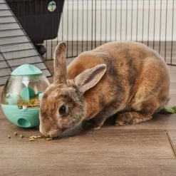 Oxbow Enriched Life Wobble Teaser Small Animal Toy -Oxbow || Zesty Paws Sales 277228 PT5. SY630 V1614812189