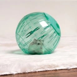 Oxbow Enriched Life Run Around Ball Small Animal Toy -Oxbow || Zesty Paws Sales 277302 PT5. SY630 V1614813405