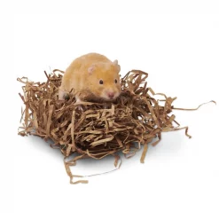 Oxbow Enriched Life Small Animal Nesting Disks 14 Oxbow Enriched Life Small Animal Nesting Disks -Oxbow || Zesty Paws Sales 277304 PT5. SY630 V1614812225