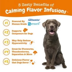 Zesty Paws Calming Flavor Infusions Chicken Flavored Liquid Calming Supplement for Dogs -Oxbow || Zesty Paws Sales 289511 PT4. SY630 V1644907030