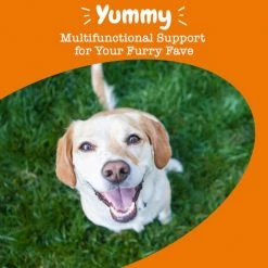 Zesty Paws 8-in-1 Flavor Infusions Chicken Flavored Liquid Multivitamin for Dogs -Oxbow || Zesty Paws Sales 289513 PT5. SY630 V1644912424