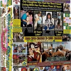 Oxbow || Zesty Paws Sales -Oxbow || Zesty Paws Sales 293128 PT1. SY630 V1620009742