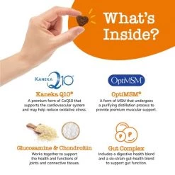 Zesty Paws 8-in-1 Multivitamin Bites + Aller-Immune Bites Lamb Flavor Immune System Soft Chews Dog Supplement -Oxbow || Zesty Paws Sales 294032 PT3. SY630 V1649353010