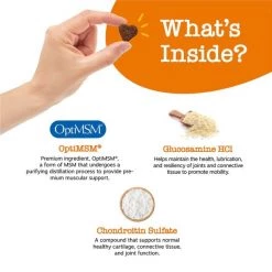 Zesty Paws Mobility Bites Hip & Joint Support + Aller-Immune Bites Lamb Flavor Immune System Soft Chews Dog Supplement 14 Zesty Paws Mobility Bites Hip & Joint Support + Aller-Immune Bites Lamb Flavor Immune System Soft Chews Dog Supplement -Oxbow || Zesty Paws Sales 294046 PT3. SY630 V1649344046