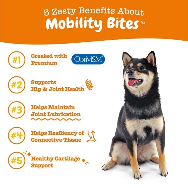 Zesty Paws Mobility Bites Hip & Joint Support + Aller-Immune Bites Lamb Flavor Immune System Soft Chews Dog Supplement 7 Zesty Paws Mobility Bites Hip & Joint Support + Aller-Immune Bites Lamb Flavor Immune System Soft Chews Dog Supplement - Image 5