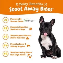 Zesty Paws Scoot Away Bites Chicken Flavored Soft Chews Digestive Supplement for Dogs -Oxbow || Zesty Paws Sales 297472 PT4. SY630 V1644965181