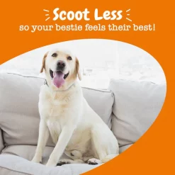 Zesty Paws Scoot Away Bites Chicken Flavored Soft Chews Digestive Supplement for Dogs -Oxbow || Zesty Paws Sales 297472 PT5. SY630 V1644973943