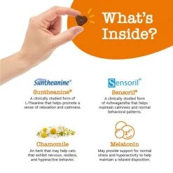 Zesty Paws All Ages Calming Bites Behavior Salmon Flavor Cat Supplement, 60 count + Zesty Paws Pure Salmon Oil Skin & Coat Support Dog & Cat Supplement, 32-oz bottle -Oxbow || Zesty Paws Sales 298794 PT4. SY630 V1658201920