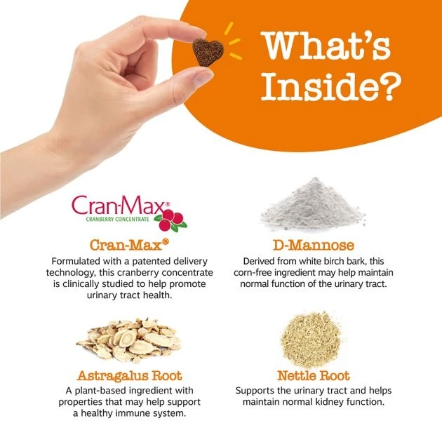 Zesty Paws Allergy & Immune Support Lamb Flavor Soft Chew Dog Supplement, 90 count + Zesty Paws Cranberry Bladder Bites Urinary Tract Support Chicken Liver Flavor Chews for Dogs, 90 count 10 Zesty Paws Allergy & Immune Support Lamb Flavor Soft Chew Dog Supplement, 90 count + Zesty Paws Cranberry Bladder Bites Urinary Tract Support Chicken Liver Flavor Chews for Dogs, 90 count - Image 8