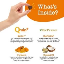 Zesty Paws Curcumin Bites Everyday Vitality Duck Flavor Dog Supplement, 90 count + Zesty Paws Salmon Bites Skin & Coat Dog Supplement, 90 count -Oxbow || Zesty Paws Sales 298830 PT3. SY630 V1649342938