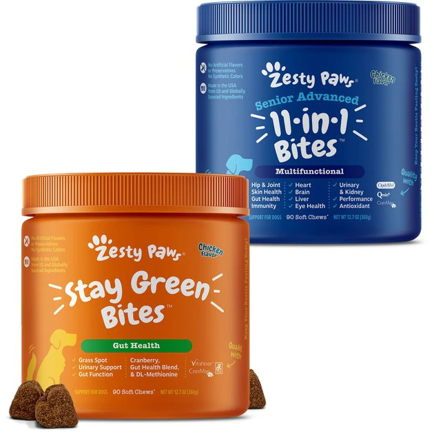 Zesty Paws Stay Green Bites Digestive Support Chicken Flavor Soft Chew Dog Supplement, 90 count + Zesty Paws 11-in-1 Bites Multifunctional MSM & Curcumin + Cranberry & Lutein Senior Chicken Flavor Dog Supplement, 90 count 3 Zesty Paws Stay Green Bites Digestive Support Chicken Flavor Soft Chew Dog Supplement, 90 count + Zesty Paws 11-in-1 Bites Multifunctional MSM & Curcumin + Cranberry & Lutein Senior Chicken Flavor Dog Supplement, 90 count