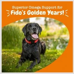 Zesty Paws Advanced Omega Bites Chicken Flavor Soft Chews Skin & Coat Supplement for Senior Dogs 16 Zesty Paws Advanced Omega Bites Chicken Flavor Soft Chews Skin & Coat Supplement for Senior Dogs -Oxbow || Zesty Paws Sales 332501 PT5. SY630 V1659821896