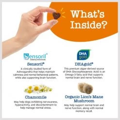 Zesty Paws Calming + Cognition Bites Chicken Flavor Soft Chews Calming Supplement for Dogs -Oxbow || Zesty Paws Sales 333707 PT3. SY630 V1659821875