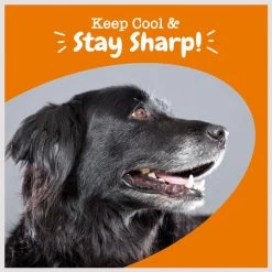 Zesty Paws Calming + Cognition Bites Chicken Flavor Soft Chews Calming Supplement for Dogs -Oxbow || Zesty Paws Sales 333707 PT5. SY630 V1659821096