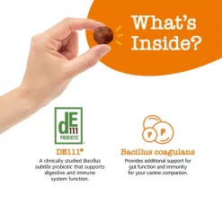 Zesty Paws Pill Wrap Probiotic Paste Bacon Flavored Digestive Supplement for Dogs -Oxbow || Zesty Paws Sales 337049 PT3. SY630 V1635453401