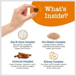 Zesty Paws Advanced 11-in-1 Bites Beef Flavored Soft Chews Multivitamin Supplement for Senior Dogs -Oxbow || Zesty Paws Sales 346008 PT4. SY630 V1659820792