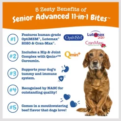 Zesty Paws Advanced 11-in-1 Bites Beef Flavored Soft Chews Multivitamin Supplement for Senior Dogs -Oxbow || Zesty Paws Sales 346008 PT5. SY630 V1659822298