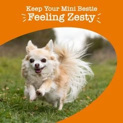 Zesty Paws 8-in-1 Mini Bites Chicken Flavored Soft Chew Multivitamin for Dogs, 90 count -Oxbow || Zesty Paws Sales 346012 PT5. SY630 V1644981435