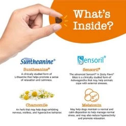 Zesty Paws Advanced Calming Mini Bites Turkey Flavored Soft Chew Calming Supplement for Dogs, 90 count 14 Zesty Paws Advanced Calming Mini Bites Turkey Flavored Soft Chew Calming Supplement for Dogs, 90 count -Oxbow || Zesty Paws Sales 346014 PT3. SY630 V1644966135