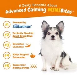 Zesty Paws Advanced Calming Mini Bites Turkey Flavored Soft Chew Calming Supplement for Dogs, 90 count 15 Zesty Paws Advanced Calming Mini Bites Turkey Flavored Soft Chew Calming Supplement for Dogs, 90 count -Oxbow || Zesty Paws Sales 346014 PT4. SY630 V1644967336