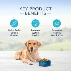 Zesty Paws||Blue Buffalo Zesty Paws Core Elements 8-in-1 Peanut Butter Flavored Chews Multivitamin for Dogs + Blue Buffalo Life Protection Formula Adult Chicken & Brown Rice Recipe Dry Food -Oxbow || Zesty Paws Sales 365454 PT8. SY630 V1644016006