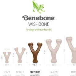 Zesty Paws||Benebone Zesty Paws Core Elements 8-in-1 Chicken Flavored Chews Multivitamin for Dogs + Benebone Bacon Flavor Wishbone Tough Chew Toy 16 Zesty Paws||Benebone Zesty Paws Core Elements 8-in-1 Chicken Flavored Chews Multivitamin for Dogs + Benebone Bacon Flavor Wishbone Tough Chew Toy -Oxbow || Zesty Paws Sales 365476 PT7. SY630 V1644017221