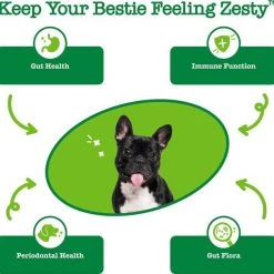 Zesty Paws Mobility OraStix Mint Flavored + Probiotic OraStix Mint Flavored Dental Chews for Dogs -Oxbow || Zesty Paws Sales 365482 PT7. SY630 V1644021423