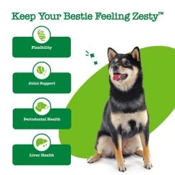 Zesty Paws Hemp Elements Calming Peppermint Flavored Chews Calming Supplement + Mobility OraStix Mint Flavored Dental Chews for Dogs -Oxbow || Zesty Paws Sales 365484 PT8. SY630 V1644015700