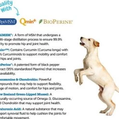 Zesty Paws Advanced Mobility Chicken Flavored Chews Hip & Joint Supplement for Senior Dogs & Mobility OraStix Mint Flavored Dental Chews 16 Zesty Paws Advanced Mobility Chicken Flavored Chews Hip & Joint Supplement for Senior Dogs & Mobility OraStix Mint Flavored Dental Chews -Oxbow || Zesty Paws Sales 365485 PT5. SY630 V1644020552
