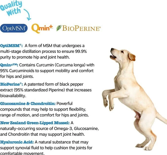 Zesty Paws Advanced Mobility Chicken Flavored Chews Hip & Joint Supplement for Senior Dogs & Mobility OraStix Mint Flavored Dental Chews 8 Zesty Paws Advanced Mobility Chicken Flavored Chews Hip & Joint Supplement for Senior Dogs & Mobility OraStix Mint Flavored Dental Chews - Image 6