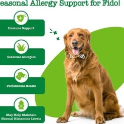 Zesty Paws Aller-Immune OraStix Mint Flavored + Probiotic OraStix Mint Flavored Dental Chews for Dogs 12 Zesty Paws Aller-Immune OraStix Mint Flavored + Probiotic OraStix Mint Flavored Dental Chews for Dogs -Oxbow || Zesty Paws Sales 365486 PT4. SY630 V1644017248