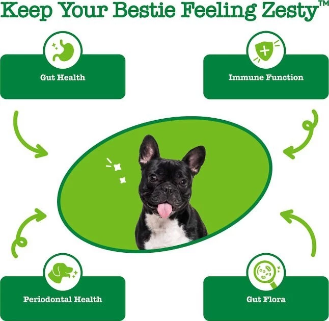 Zesty Paws Aller-Immune OraStix Mint Flavored + Probiotic OraStix Mint Flavored Dental Chews for Dogs 9 Zesty Paws Aller-Immune OraStix Mint Flavored + Probiotic OraStix Mint Flavored Dental Chews for Dogs - Image 7