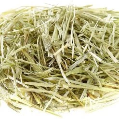 Oxbow Animal Health Western Timothy Hay All Natural Hay for Rabbits, Guinea Pigs, Chinchillas, Hamsters & Gerbils + Oat Hay Small Animal Food -Oxbow || Zesty Paws Sales 367472 PT3. SY630 V1644524563