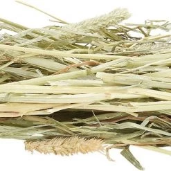 Oxbow Botanical Hay + Oat Hay Small Animal Food -Oxbow || Zesty Paws Sales 367473 PT3. SY630 V1644524568