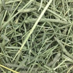 Oxbow Animal Health Western Timothy Hay All Natural Hay for Rabbits, Guinea Pigs, Chinchillas, Hamsters & Gerbils + Pure Comfort Small Animal Bedding, White -Oxbow || Zesty Paws Sales 367474 PT4. SY630 V1644531129