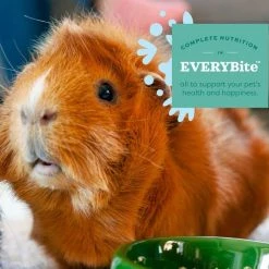 Oxbow Animal Healthy Essentials Natural Pellets Senior Guinea Pig Food -Oxbow || Zesty Paws Sales 521926 PT5. SY630 V1651864309