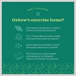 Oxbow Animal Health Enriched Life 2 in 1 Quiet Runner Small Animal Toy -Oxbow || Zesty Paws Sales 531830 PT5. SY630 V1652467023