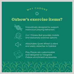Oxbow Animal Health Enriched Life Run & Hide Small Animal Toy 11 Oxbow Animal Health Enriched Life Run & Hide Small Animal Toy -Oxbow || Zesty Paws Sales 531862 PT4. SY630 V1652466992