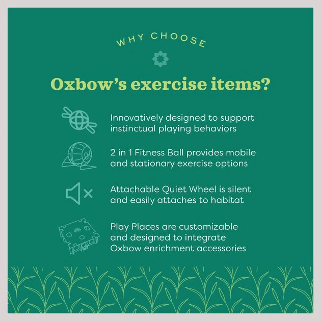 Oxbow Animal Health Enriched Life Run & Hide Small Animal Toy 7 Oxbow Animal Health Enriched Life Run & Hide Small Animal Toy - Image 5