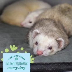 Oxbow Animal Health Enriched Life Washable Floor Mat -Oxbow || Zesty Paws Sales 531894 PT3. SY630 V1652450630