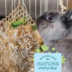 Oxbow Animal Health Enriched Life Honeycomb Hide & Play Small Animal Toy -Oxbow || Zesty Paws Sales 531918 PT3. SY630 V1657658629