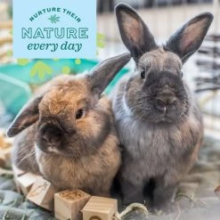 Oxbow Animal Health Enriched Life Ox Blocks Small Animal Toy 10 Oxbow Animal Health Enriched Life Ox Blocks Small Animal Toy -Oxbow || Zesty Paws Sales 531934 PT3. SY630 V1652450484