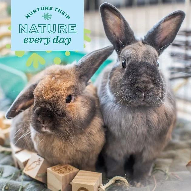 Oxbow Animal Health Enriched Life Ox Blocks Small Animal Toy 6 Oxbow Animal Health Enriched Life Ox Blocks Small Animal Toy - Image 4