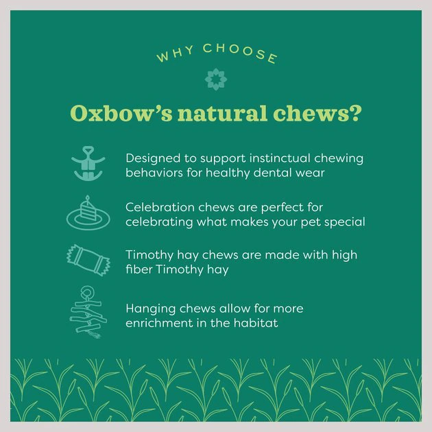 Oxbow Animal Health Enriched Life Ox Blocks Small Animal Toy 7 Oxbow Animal Health Enriched Life Ox Blocks Small Animal Toy - Image 5