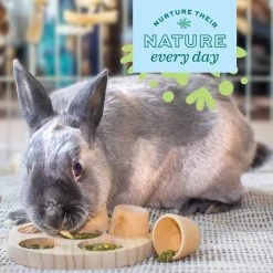 Oxbow Animal Health Enriched Life Garden Dig Box Small Animal Toy -Oxbow || Zesty Paws Sales 531966 PT4. SY630 V1652450574