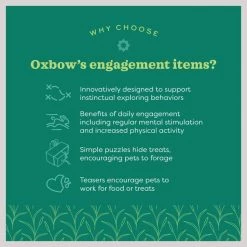 Oxbow Animal Health Enriched Life Garden Dig Box Small Animal Toy -Oxbow || Zesty Paws Sales 531966 PT5. SY630 V1657658628