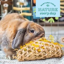 Oxbow Animal Health Enriched Life Celebration Party Pack Small Animal Toy -Oxbow || Zesty Paws Sales 532046 PT5. SY630 V1652451159